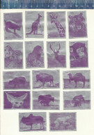 MAMMALS HIPPOPOTAMUS ZEBRA GIRAFFE KANGAROO TIGER ELEPHANT BISON ZEBU POLAR BEAR YAK LION ETC... MATCHBOX LABELS HUNGARY - Matchbox Labels