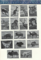 MAMMALS HIPPOPOTAMUS ZEBRA GIRAFFE KANGAROO TIGER ELEPHANT BISON ZEBU POLAR BEAR YAK LION ETC... MATCHBOX LABELS HUNGARY - Zündholzschachteletiketten