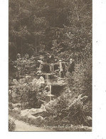 Postcard Devon Okehampton Simmons Park Skeleton Cancel Missing O  S.a.james - Dartmoor