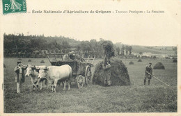 YVELINES  GRIGNON  école National D'agriculture La Fenaison - Grignon