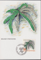 1992 Liechtenstein MC 109  Mi:LI 1046 °, Yt:LI 987°, Zum:LI 988°, Farne, Brauner Streifenfarn - Medicinal Plants