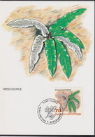 1992 Liechtenstein MC 109  Mi:LI 1047°, Yt:LI 988°, Zum:LI 989°, Farne, Hirschzunge - Geneeskrachtige Planten