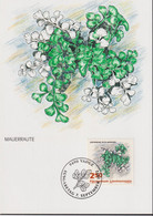 1992 Liechtenstein MC 109  Mi:LI 1048°, Yt:LI 989°, Zum:LI 990°, Farne, Mauerraute - Plantas Medicinales