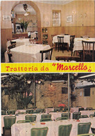 CARTOLINA  ROMA,LAZIO,RISTORANTE DA "MARCELLO"-TRATTORIA CON GIARDINO-VIA BORGO PIO-BELLA ITALIA,NON VIAGGIATA - Bares, Hoteles Y Restaurantes