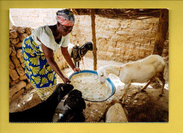 MALI . UNE FEMME NOURRIT SES BÊTES. UN PATRIMOINE PRECIEUX POUR ELLE ET SA FAMILLE - Ref. N°36794 - - Mali