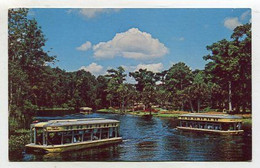 AK 111415 USA - Florida - Silver Springs - Glass Bottom Boat - Silver Springs