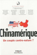 La Chinamérique. Un Couple Contre-nature ? De Collectif (2010) - Economie