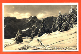 CPA GLACEE SUISSE  " Winter Auf Braunwald " - UR Uri