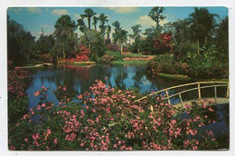 AK 111429 USA - Florida - Cypress Gardens - Other & Unclassified