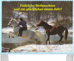 TIERE - Pferde --- WENDY --- AK Postcard Cover (2 Scan)(13802AK) - Horses