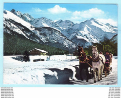 TIERE - Pferde Mit Schlitten - Winter --- Gelaufen --- AK Postcard Cover (2 Scan)(13827AK) - Horses