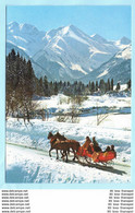 TIERE - Pferde Mit Schlitten - Winter --- AK Postcard Cover (2 Scan)(13824AK) - Horses
