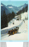 TIERE - Pferde Mit Schlitten - Winter --- AK Postcard Cover (2 Scan)(13823AK) - Horses