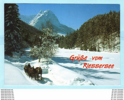 TIERE - Pferde Mit Schlitten - Winter --- AK Postcard Cover (2 Scan)(13821AK) - Horses