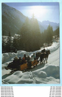 TIERE - Pferde Mit Schlitten - Winter --- Gelaufen --- AK Postcard Cover (2 Scan)(13822AK) - Horses