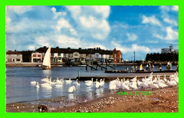 LITTLEHAMPTON, UK - HARBOUR AND ARUN PARADE - TRAVEL - - Arundel