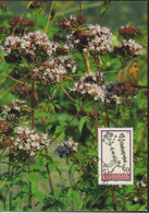 1993 Liechtenstein MC 119 Mi:LI 1069°, Yt:LI 1010°, Zum:LI 1011°, Hortus Botanicus, Magerwiesenblumen, Dost - Storia Postale