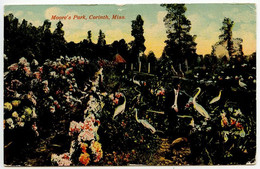 United States 1913 Postcard Corinth, Mississippi - Moore's Park; Jackson & Mobile RPO Postmark - Sonstige & Ohne Zuordnung