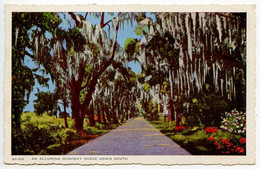 United States 1946 Postcard An Alluring Highway Scene Down South; Ham. & Jack. RPO Postmark - Rutas Americanas