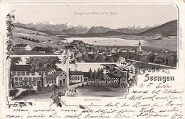 Gruss Aus Seengen 1899 Litho District Lenzburg Eichenberg Brestenberg - Lenzburg