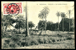 A58  SÉNEGAL    CPA  DAKAR - LE JARDIN D' ESSAIS - Senegal
