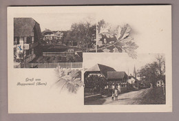 CH BE Rapperswil 1935-06-14 Fotos Chromlitho E.Kneubühl - Rapperswil