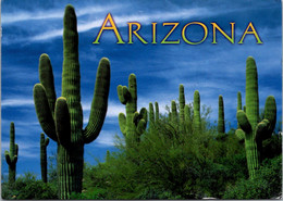 Arizona Saguaro National Park Giant Saguaro Cactus - Other & Unclassified