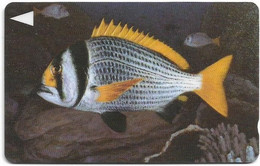 Bahrain - Fish Of Bahrain - Doublebar Bream - 40BAHK (Normal 0), 1996, Used - Bahrein