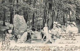 Bern Der Glasbrunnen Bremgartenwald 1904 - Bremgarten Bei Bern