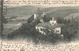 Schloss Liebegg Aargau 1904 - AG Aargau