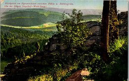 42193 - Deutschland - Zigeunerfelsen , Pöhla , Rittersgrün , Strasse Siegelhof , Wald-Burg , Feldpost Marke - 1916 - Schwarzenberg (Erzgeb.)