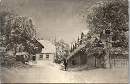 42470 - Deutschland - Schmiedefeld , Kr. Schleusingen , Berghotel Stutenhaus Am Adlersberg , Januar 1914 - Schmiedefeld