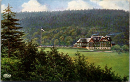 42472 - Künstlerkarte - Schmiedefeld , Kr. Schleusingen , Berghotel Stutenhaus Am Adlersberg , Stutenwald - Gel. 1917 - Schmiedefeld