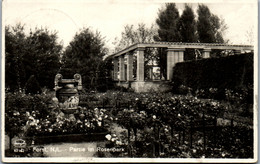 42745 - Deutschland - Forst , N. L. , Partie Im Rosenpark - Gelaufen 1928 - Forst