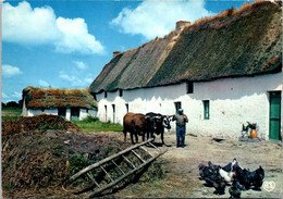 (2 Oø 17) France - Chaumière En Bretagne (posted 1976) RTS - Return To Sender - Retour à L'Envoyeur - Fermes