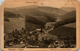 42810 - Deutschland - Blauental I. Erzgeb. , Blick Ins Tal Der Großen Bockau , Auersberg , L. Beschädigt - 1922 - Eibenstock