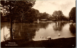 42831 - Deutschland - Mittweida , Am Schwanenteich - Gelaufen 1925 - Mittweida