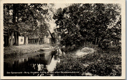 42840 - Deutschland - Spreewald , Burg Kaupen , Partie An Der Alten Quappenschänke - Gelaufen 1953 - Lübbenau