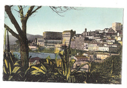 ALGERIE BOUGIE (Constantine) - Vue Sur La Ville Et Ses Cactus Unused - Bejaia (Bougie)