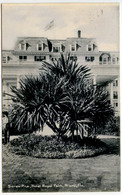 United States 1911 Postcard Miami, Florida - Screw Pine, Hotel Royal Palm; Jacksonville & Miami RPO Postmark - Miami