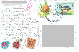 C3 : Russia - Fruit Pineapple Round Stamp / Tortoise Stamps Used On Postcard - Lettres & Documents