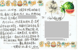 C3 : China - Water Melon, Painting Bamboo Stamps Used On Cover - Storia Postale