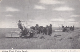 Canada Farming Scene Cutting Wheat In Western Canada - Altri & Non Classificati