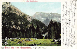 Gruss Aus Dem Toggenburg 1900 Alp Kühboden - SG St. Gallen