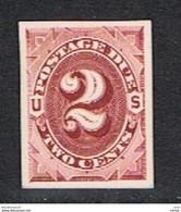 U.S.A.:  1887/98  POSTAGE  DUE  -  2 C. UNUSED  STAMP  -  PRINTED  ON  CARDBOARD  -  YV/TELL. (9) - Postage Due