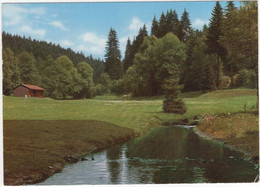 Partie Bei Der Bischofsmühle Im Frankenwald - (Deutschland) - Helmbrechts