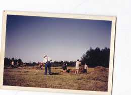 EN  POLOGNE , RAMASSAGE DU FOIN EN 1982 ,,,4 JOLIES PHOTOS 12 X 9  CM - Cultures