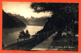 CPA GLACEE SUISSE Seelisberg " Hotel Bellevue " - Seelisberg