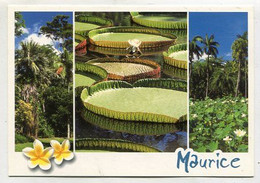 AK 111788 MAURITIUS - Pamplemousses Botanical Garden - Maurice