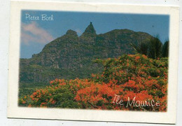 AK 111791 MAURITIUS - Pieter Both - Maurice